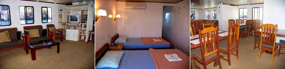 San Jose Dreamkapture Travel